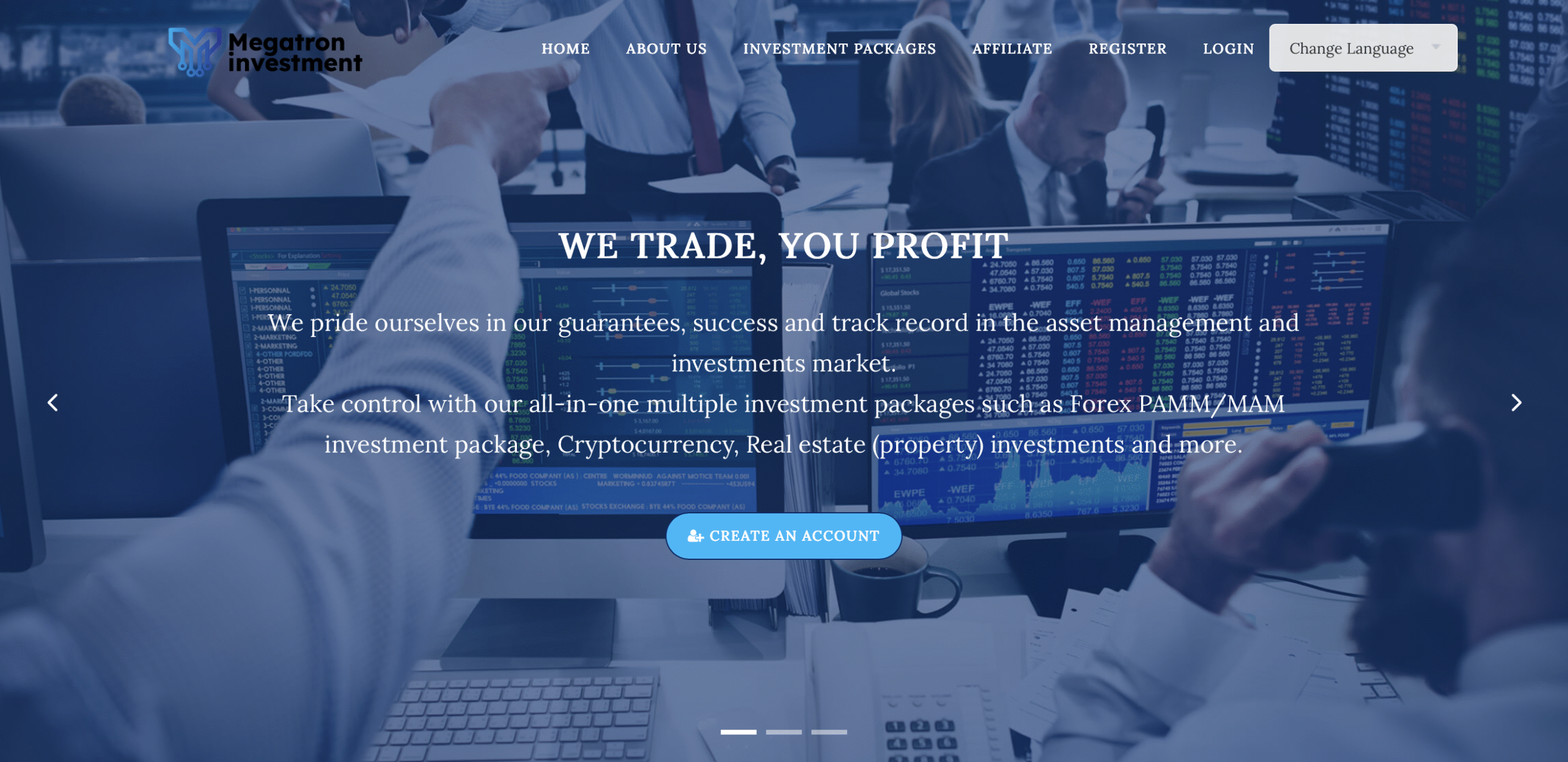 Screenshot of the Megatron Investment website showcasing its high return promises