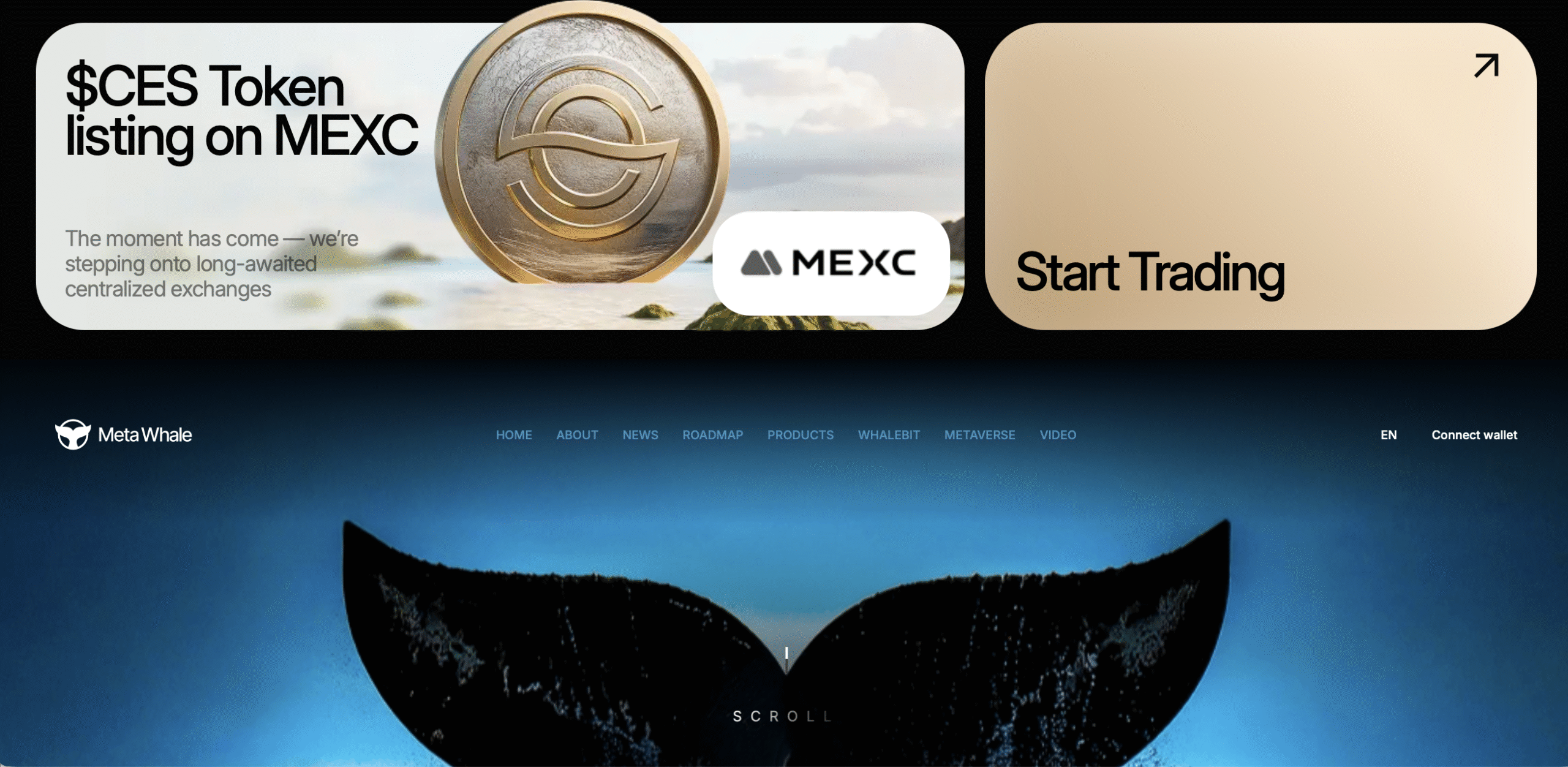 Meta Whale homepage showcasing investment options and flashy promises