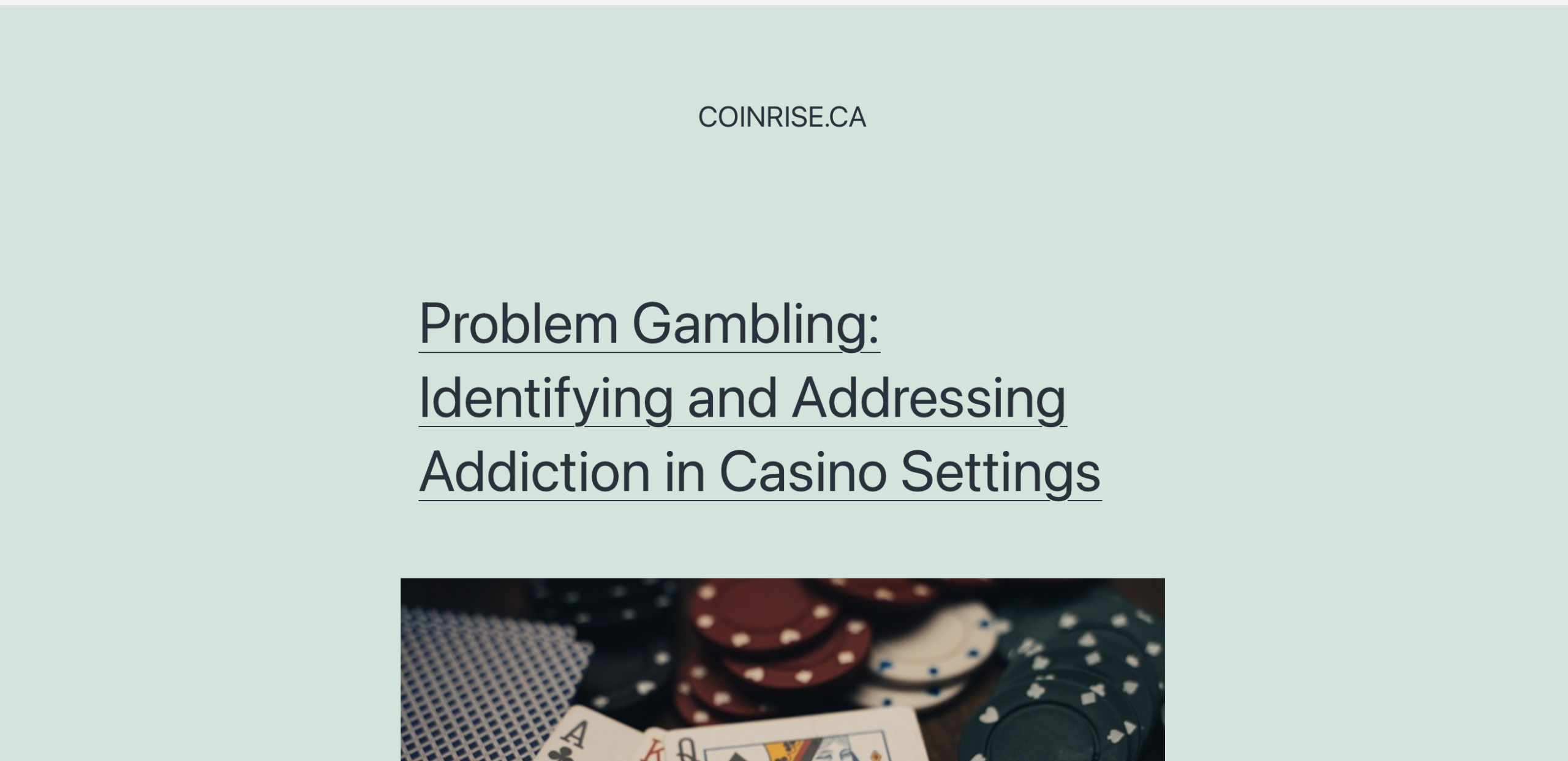 Screenshot of the fraudulent trading platform Coinrise showcasing its misleading marketing.