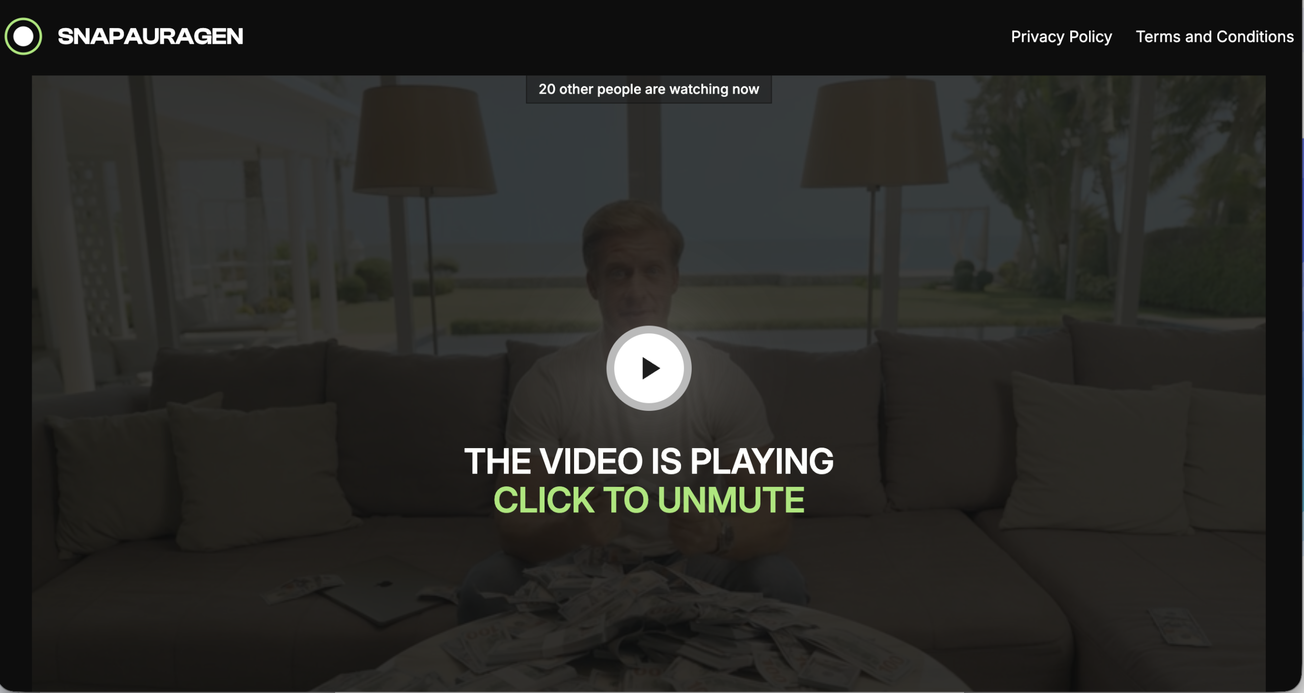 Snapauragen investment platform review.