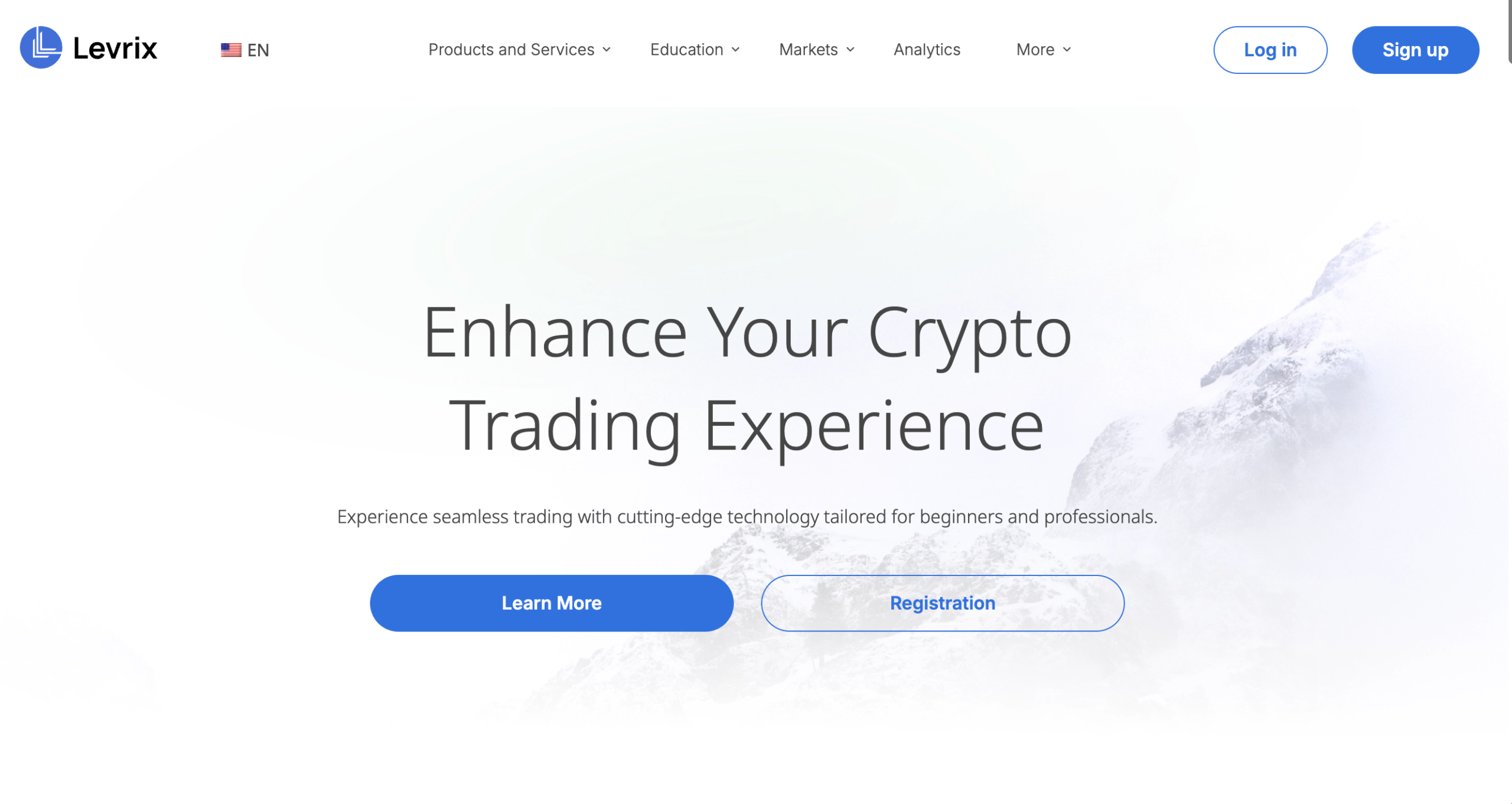 Levrix home page review